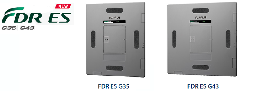 overview_FDR ES G35-G43